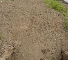 Drain Double en fond de terrain recouvert