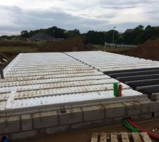 Vide sanitaire en cours