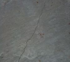 Jolie fissure
