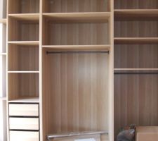 Le dressing de la puce