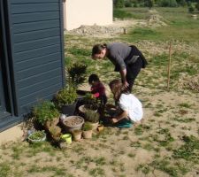 Et on n'oublie pas de s'occuper un peu du petit jardin, la menthe prospère, le basilic ressuscite, le persil et la ciboulette font bonne figure :)