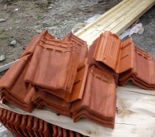 Les tuiles de rives