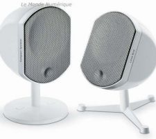Enceinte bird FOCAL