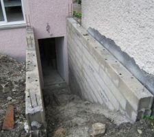 IL reste c&ocirc;t&eacute; voisin &agrave; &eacute;lever le mur &eacute;cran (et peut-&ecirc;tre une rang&eacute;e de plus pour cacher le goudron du mur du voisin).