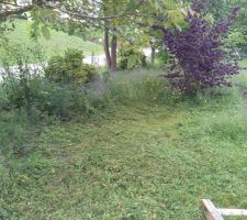 Nettoyage du terrain.