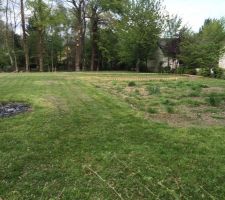 Terrain nu avant le d&eacute;but de travaux