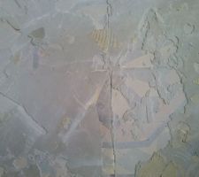 Enlèvement du lino de la salle d'eau