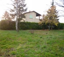 Vue du terrain apr&egrave;s l'&eacute;lagage de quelques arbres !