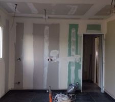 Préparation pour l'enduit des murs