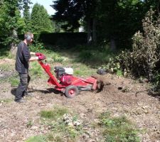 Rognage des souches