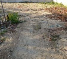 Terrain avant terassement