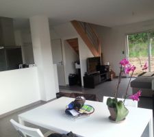 Le séjour ...
Il reste encore des choses à faire de notre côté :
La pose du bar autour du poteau dans la cuisine et une jolie porte de placard sous l'escalier à poser