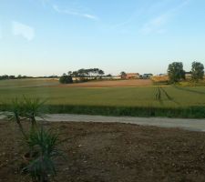 Vue depuis la salle à manger