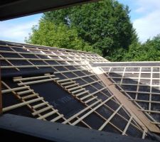 La partie parentale et l'emplacement du velux