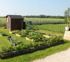 Potager après tonte de la pelouse