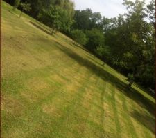 Premiere tonte du jardin!!