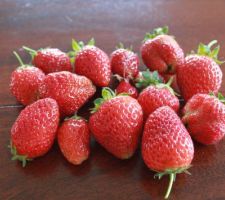 Récolte de fraises du jour: tout pour ma fille !