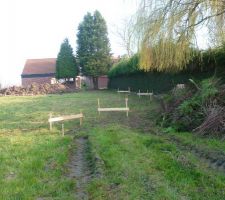 Coupe de deux grands sapins par nos soins