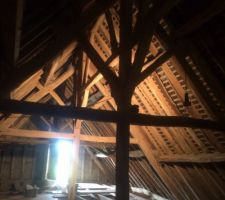Voici une partie de l'étage à aménager: là, il y aura 4 chambres avec 3 salles d'eau et un WC, avec l'arrivée de l'escalier 2/4 tournant.
J'ai monté une vingtaine de dalles OSB pour faire un plancher provisoire pour pouvoir commencer à poser les sabots.
A monter toute seule et à l'échelle, c'était bien marrant.