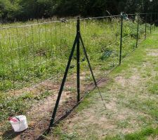Week-end du 8 juin : Cl&ocirc;ture du terrain (20 m au fond et 40 m sur le cot&eacute;)
