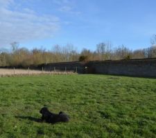 Voil&agrave; notre futur terrain.