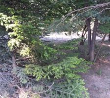 Avant terrassement...