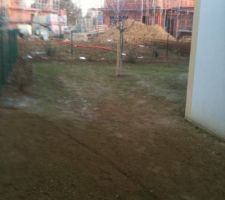 L'herbe commence à pousser, nickel pour les beaux jours.