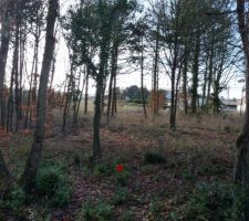 Notre futur terrain (vu du fond)