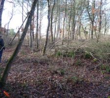 Terrain sous un autre angle