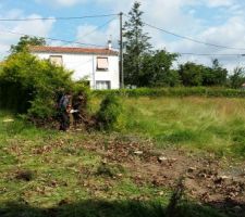 On attaque les sapins...