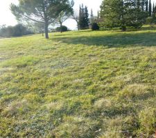 Notre terrain lors de la visite du constructeur.