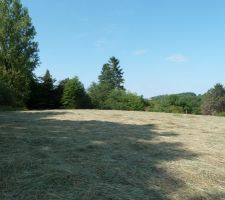 Terrain en milieu de matinée