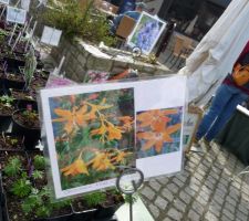 Fête des plantes andel mars 2010
