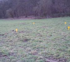 Le bornage de l'entrée des parcelles est en cours. Enfin on peut se repérer par rapport aux bornes. Voici l'entrée de ma parcelle, droit vers la forêt.