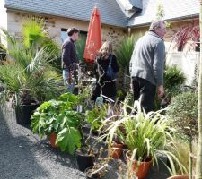 Fête des plantes andel mars 2010