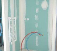 Pour la vasque de la salles de bain