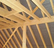 La charpente vu d'en dessous avec la psoe du film sous toiture