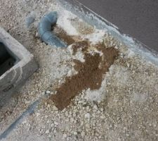 Les eaux usées ressortent de la terre... grâce à l'intervention de la société de débouchage! Pendant 10 jours, tout a stagné sous la maison