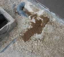 Les eaux usées ressortent de la terre... grâce à l'intervention de la société de débouchage! Pendant 10 jours, tout a stagné sous la maison