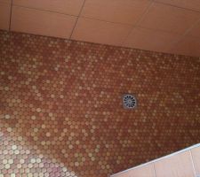 Le sol de la douche &agrave; l'italienne