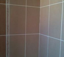 La fa&iuml;ence des WC de l'entr&eacute;e. Les couleurs ne ressortent pas bien, en r&eacute;alit&eacute; c'est marron.