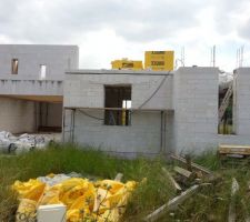 Planelles recoll&eacute;es sur la fen&ecirc;tre du cellier, mais pas encore reponc&eacute;