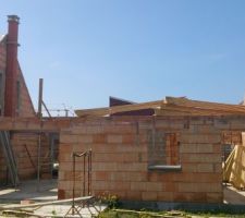 Enfin des pignons! après 6mois d'attente!