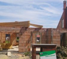 Enfin des pignons! apr&egrave;s 6mois d'attente!