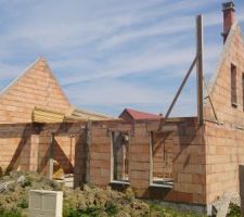 Enfin des pignons! après 6mois d'attente!