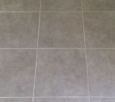 Carrelage pièce à vivre