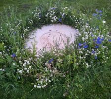 J ai planté des fleurs autour du puisard ( fertiligene pack magic fleur bleue et blanche )