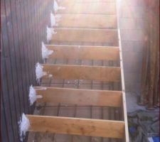 Escalier - Coffrage et ferraillage