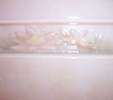 Faiences des toilettes