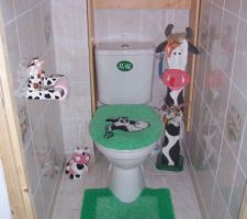 Photos de nos toilettes il reste plus qu'a peidre le haut de la faience